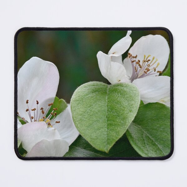 Item preview, quince flowers designed and sold by bagiolita.