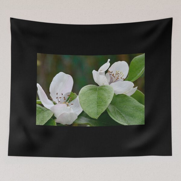 Item preview, quince flowers designed and sold by bagiolita.