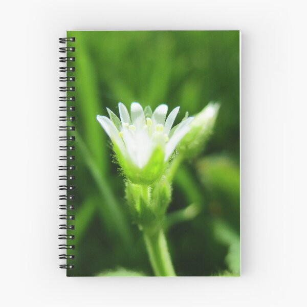 Artikelvorschau, Kleine weiße und grüne Blume entworfen und verkauft von HeWritesWLight.