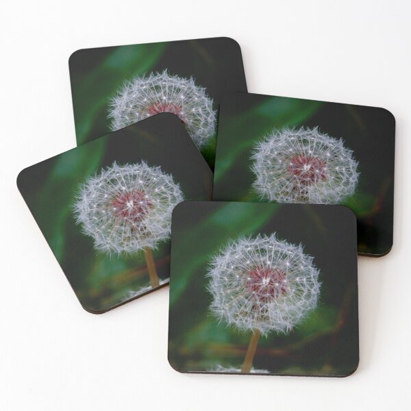 Artikelvorschau, Pusteblume entworfen und verkauft von dk--design.