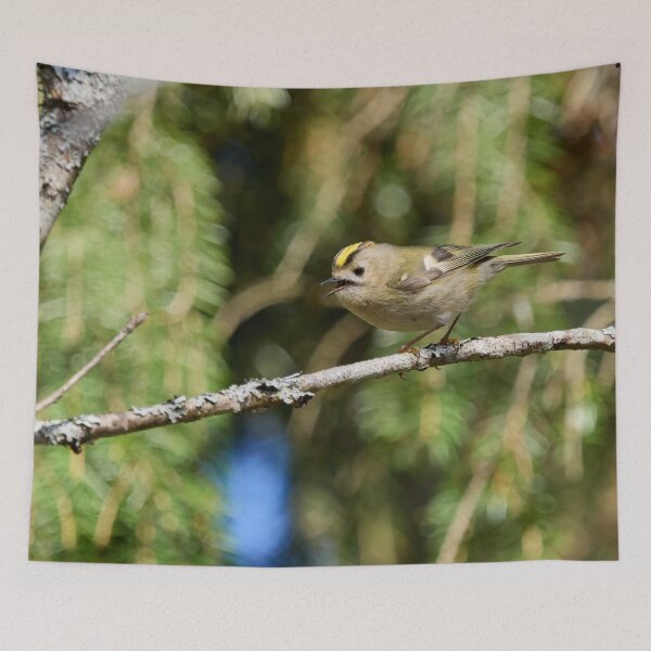 Item preview, Tweets by Goldcrest designed and sold by Jouko Lehto Photography.