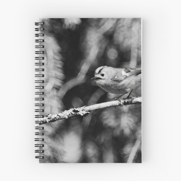 Item preview, Tweets by Goldcrest bw designed and sold by Jouko Lehto Photography.