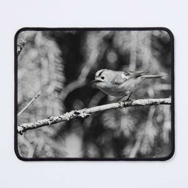 Item preview, Tweets by Goldcrest bw designed and sold by Jouko Lehto Photography.