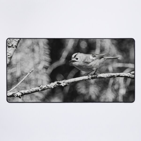 Item preview, Tweets by Goldcrest bw designed and sold by Jouko Lehto Photography.