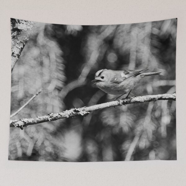 Item preview, Tweets by Goldcrest bw designed and sold by Jouko Lehto Photography.