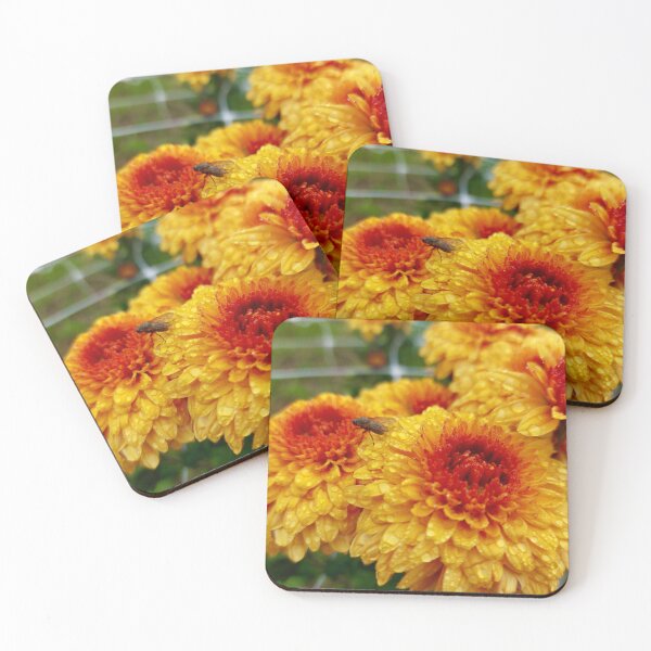 Item preview, Chrysanthemum with fly designed and sold by dk--design.