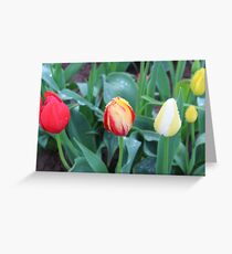 blended Greeting Card