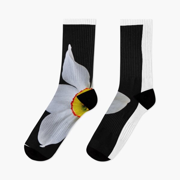 Item preview, narcissus flower designed and sold by IgorKovalenko.