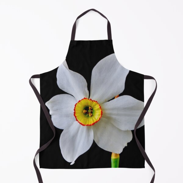 Item preview, narcissus flower designed and sold by IgorKovalenko.