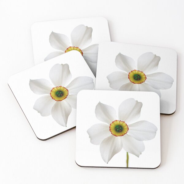 Item preview, narcissus flower designed and sold by IgorKovalenko.