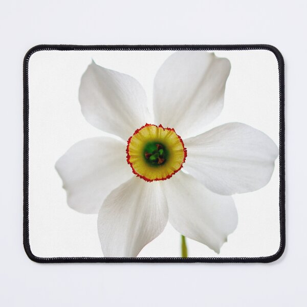 Item preview, narcissus flower designed and sold by IgorKovalenko.