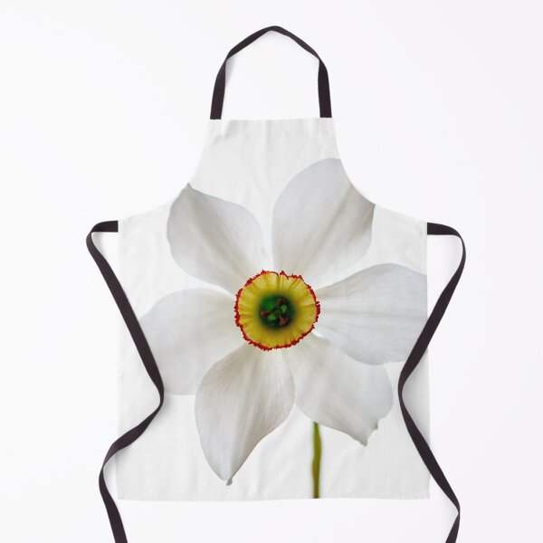 Item preview, narcissus flower designed and sold by IgorKovalenko.