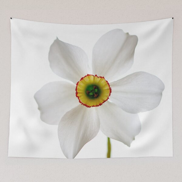 Item preview, narcissus flower designed and sold by IgorKovalenko.