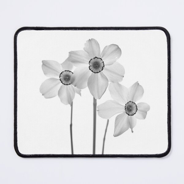 Item preview, narcissus flower designed and sold by IgorKovalenko.