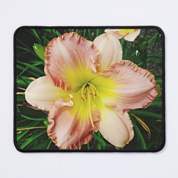 Item preview, Spring Blooms designed and sold by trailsitravel.