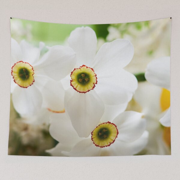 Aperçu de l'œuvre fleur de narcisse créée et vendue par IgorKovalenko.