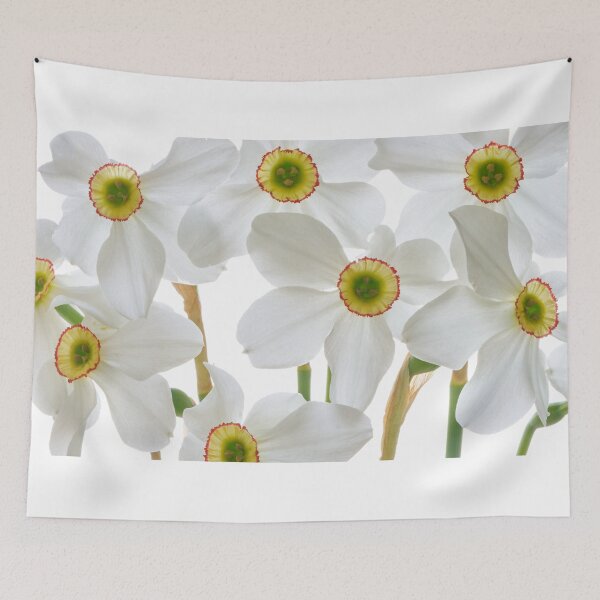 Item preview, narcissus flower designed and sold by IgorKovalenko.