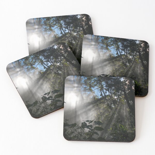 Item preview, Mystic jungle lit by morning sunlight | Panama Travel Photography designed and sold by ShotsByLau.
