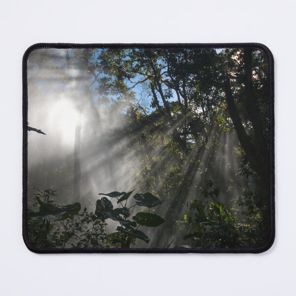 Item preview, Mystic jungle lit by morning sunlight | Panama Travel Photography designed and sold by ShotsByLau.