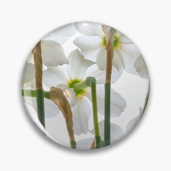 Item preview, flor de narciso designed and sold by IgorKovalenko.