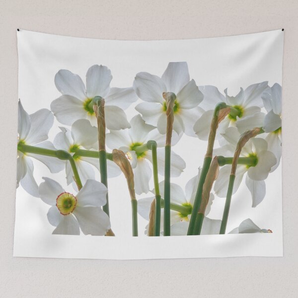 Item preview, narcissus flower designed and sold by IgorKovalenko.