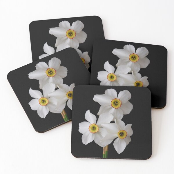 Item preview, narcissus flower designed and sold by IgorKovalenko.