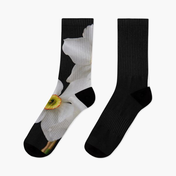 Item preview, narcissus flower designed and sold by IgorKovalenko.