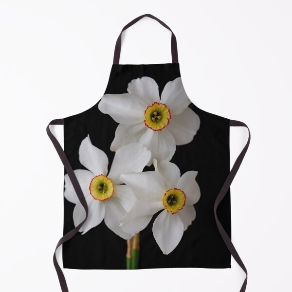 Item preview, narcissus flower designed and sold by IgorKovalenko.