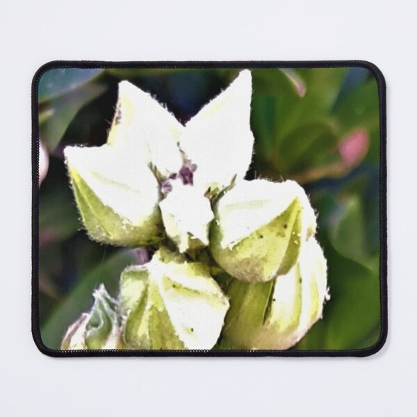 Item preview, primary flower in the garden designed and sold by sadeek1021953Ss.