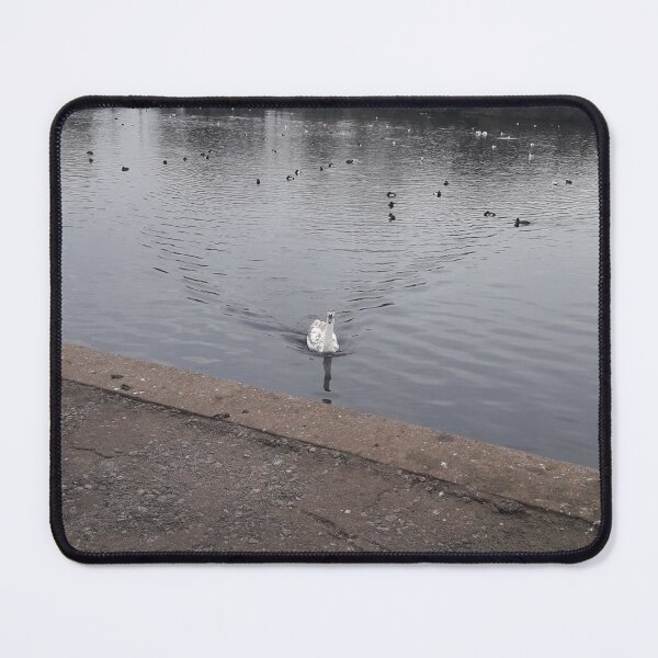 Item preview, Birds of a feather  designed and sold by leonspictures.