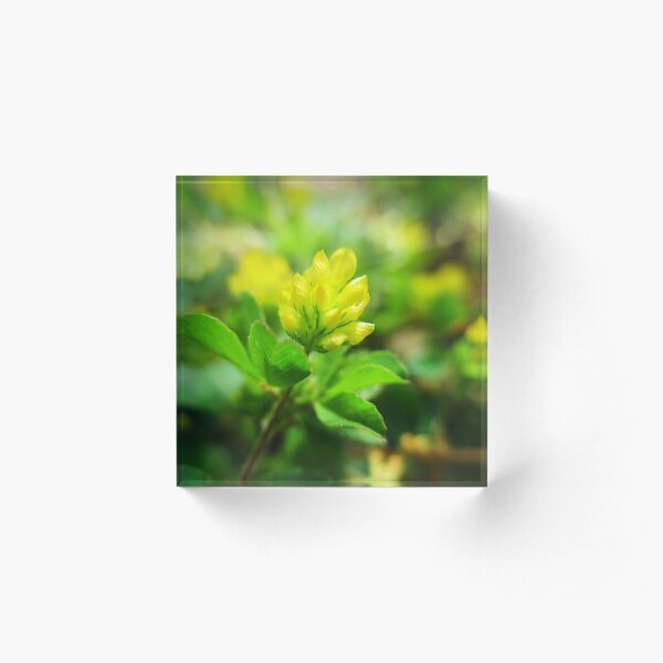 Item preview, Little Yellow Flower with Small Green Petals designed and sold by HeWritesWLight.