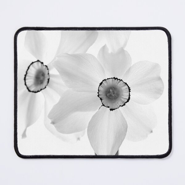 Item preview, narcissus flower designed and sold by IgorKovalenko.