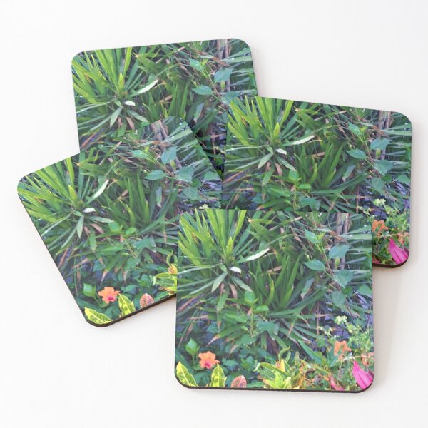 Item preview, flower ,ornamental palm tree in the garden designed and sold by sadeek1021953Ss.