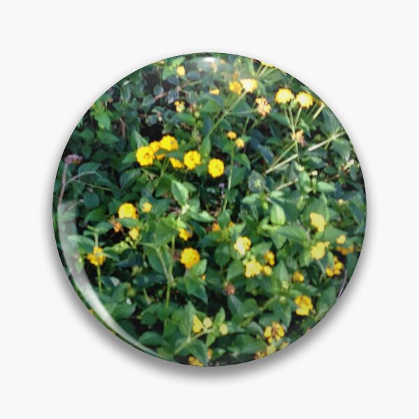 Item preview, yellow flower in the garden designed and sold by sadeek1021953Ss.