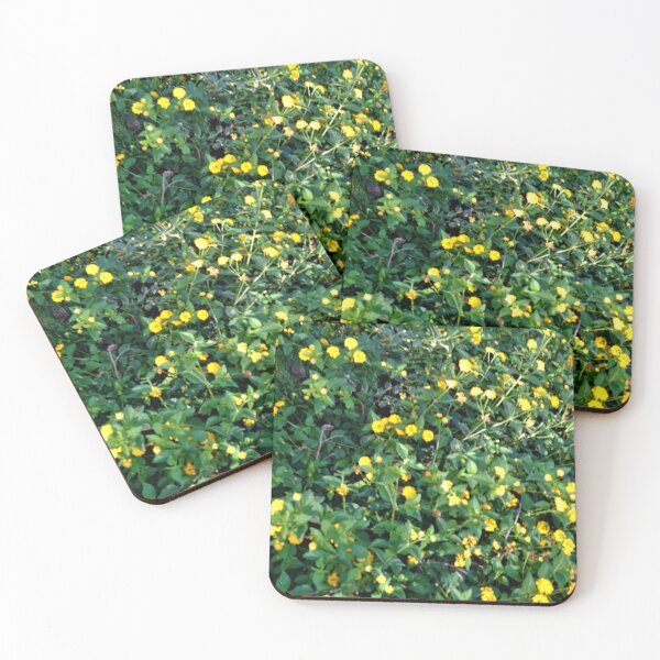 Item preview, yellow flower in the garden designed and sold by sadeek1021953Ss.