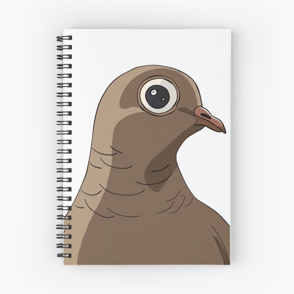 Item preview, Pigeon stare designed and sold by Brendon987.