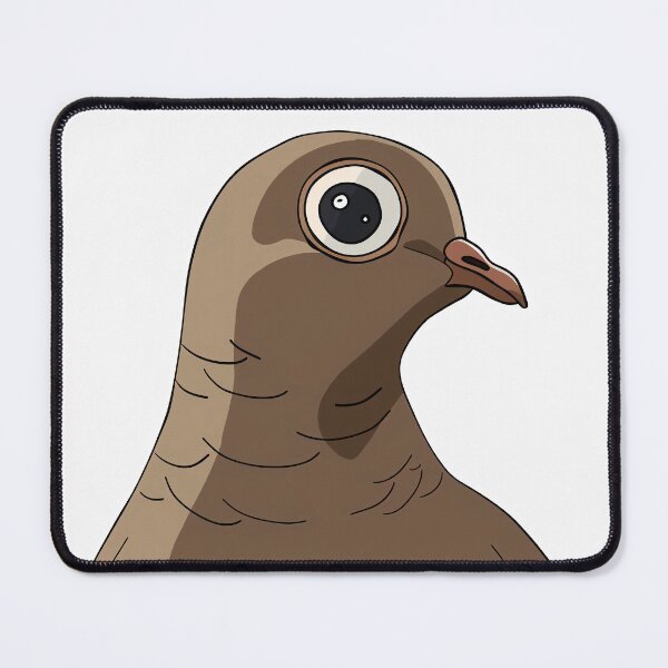 Item preview, Pigeon stare designed and sold by Brendon987.