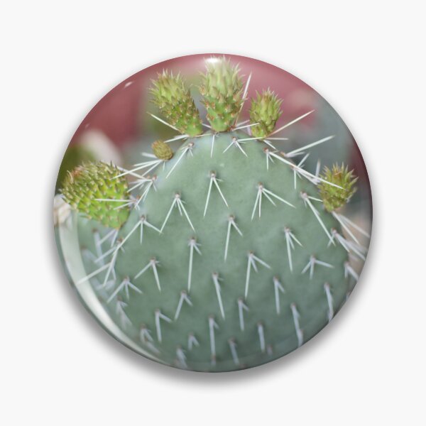 Item preview, Green Buds On Cactus designed and sold by SEEphotos7171.