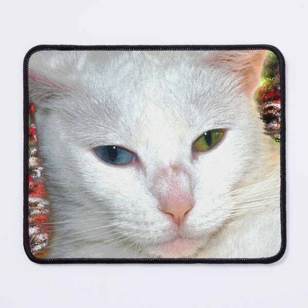 Item preview, Beautiful companion on abstract background2 designed and sold by B. Randi Bailey.