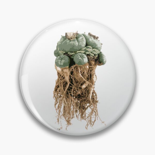 Item preview, peyote lophophora williamsii root peyote cactus illustration designed and sold by Doooriginals.