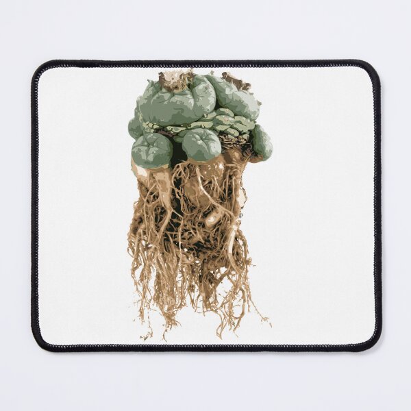 Item preview, peyote lophophora williamsii root peyote cactus illustration designed and sold by Doooriginals.