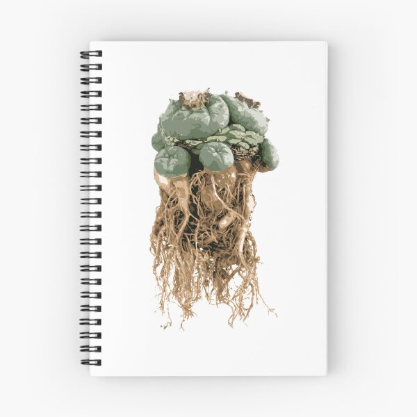 Item preview, peyote lophophora williamsii root peyote cactus illustration designed and sold by Doooriginals.