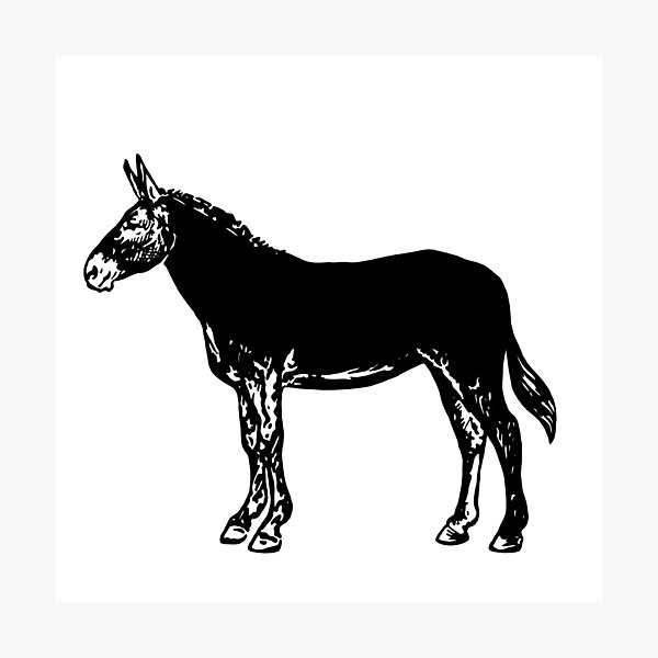 Item preview, Mule Horse designed and sold by aliceready8.