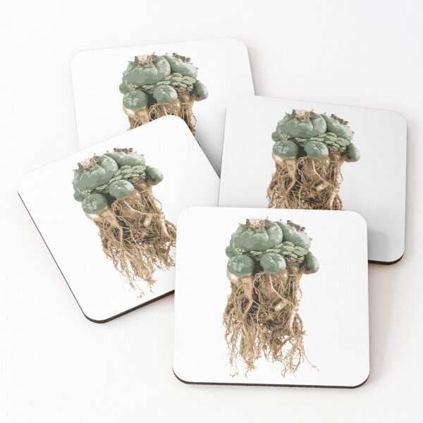 Item preview, peyote lophophora williamsii root peyote cactus illustration designed and sold by Doooriginals.