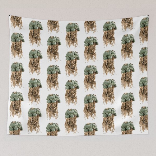 Item preview, peyote lophophora williamsii root peyote cactus illustration designed and sold by Doooriginals.