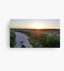 The road home Canvas Print
