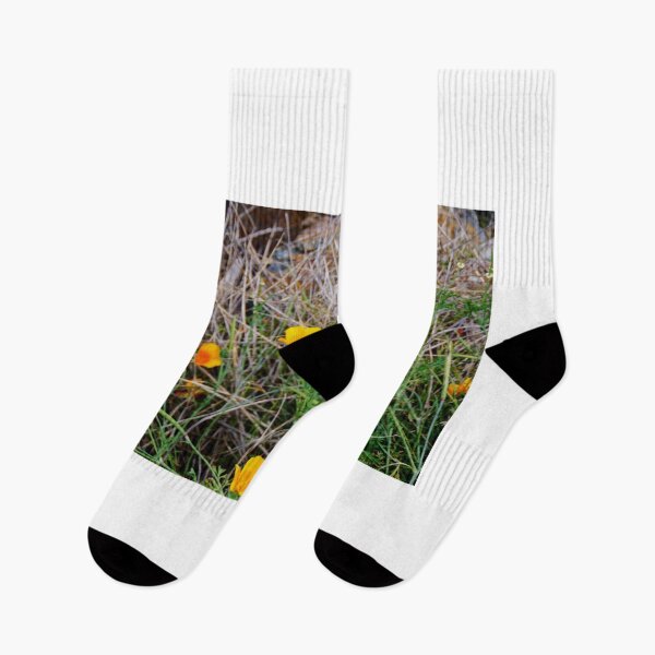 Item preview, Wild Flowers  designed and sold by D-GaP.