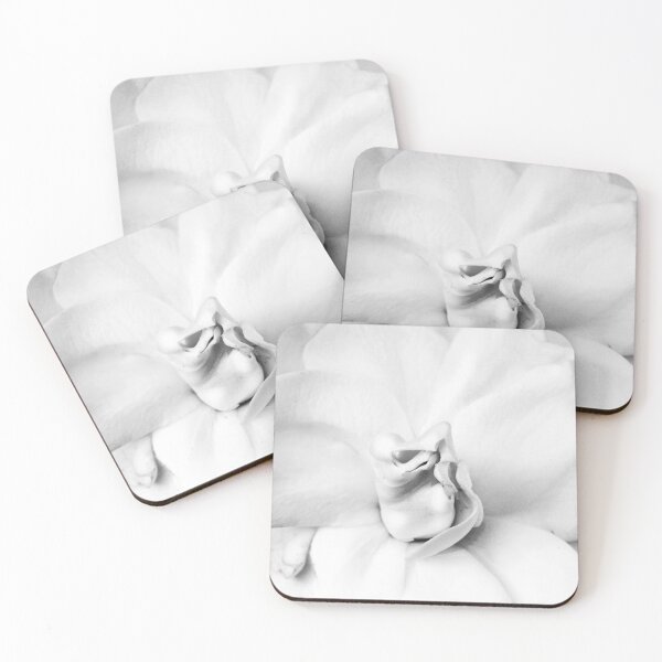 Item preview, Gardenia designed and sold by Siene Browne.