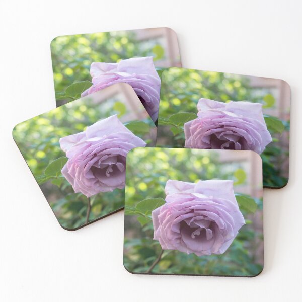 Item preview, Singular Purple Rose in Full Bloom designed and sold by Georgia Mizuleva.