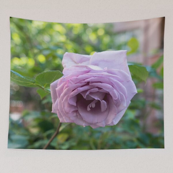 Item preview, Singular Purple Rose in Full Bloom designed and sold by Georgia Mizuleva.